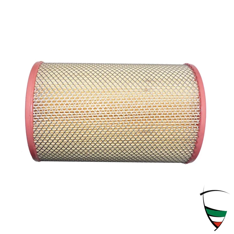 filtro aire Bertone et Coda Longa (lado conductor),21,5x14x10
