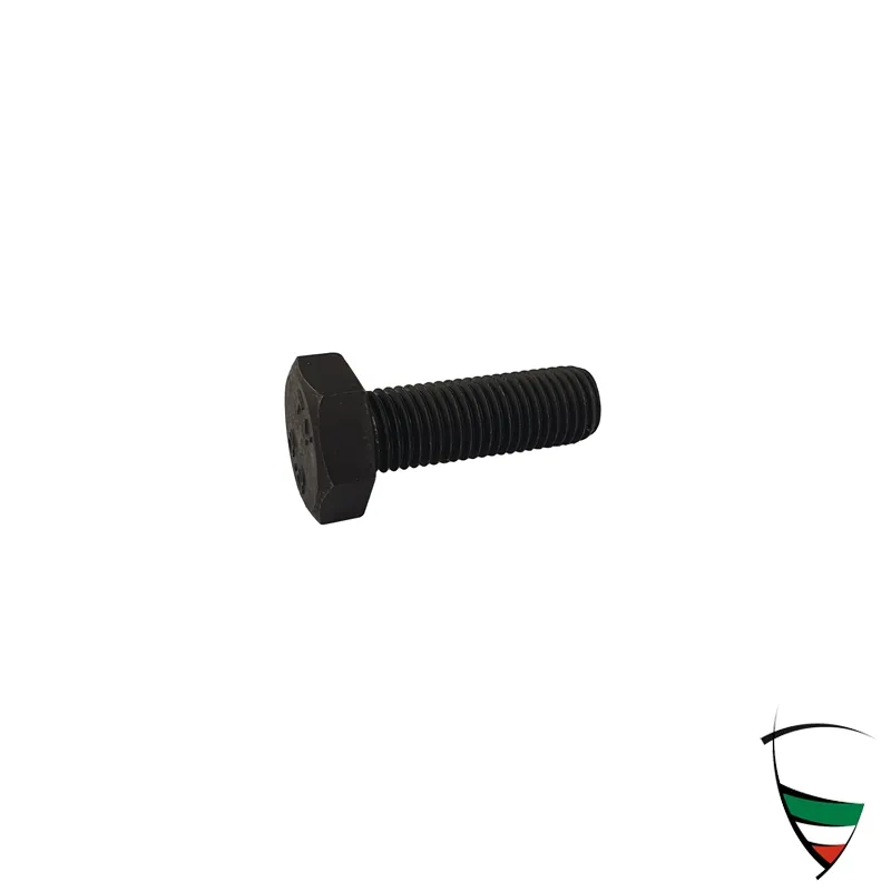 Befestigungsschraube Bremssattel hinten 10x1,25 nicht für Dunlopbremse