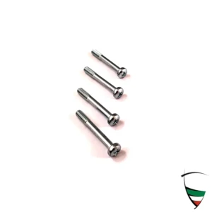 kit de tornillos para vidrio luz posterior Giulia Nuova 4x33 versione original Carello, Altissimo